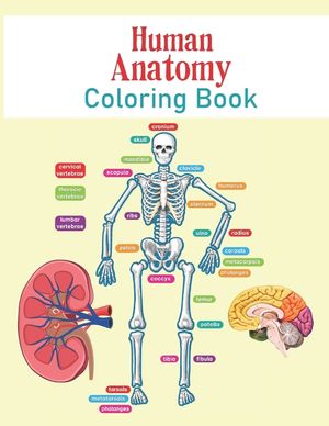 Human Anatomy Coloring Book: The Human Body For Kids and Adult Gift For Your children - Bones, Muscles, Blood, Nerves, and More for Adults, College image number 0
