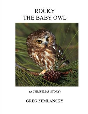 Rocky the Baby Owl image number 0