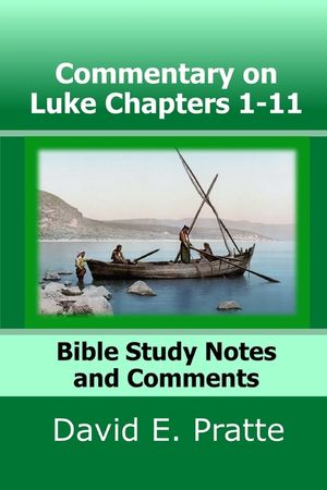 Commentary on Luke Chapters 1-11: Bible Study Notes and Comments image number 0