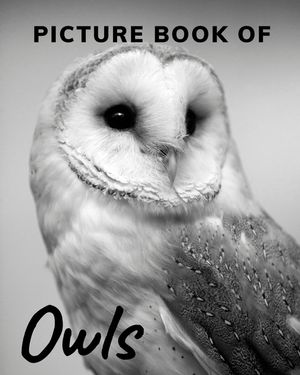 Picture Book of Owls: The Picture Book for Alzheimer's Patients and Seniors with Dementia. image number 0