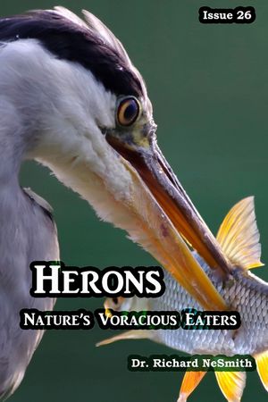 Herons: Nature's Voracious Eaters image number 0