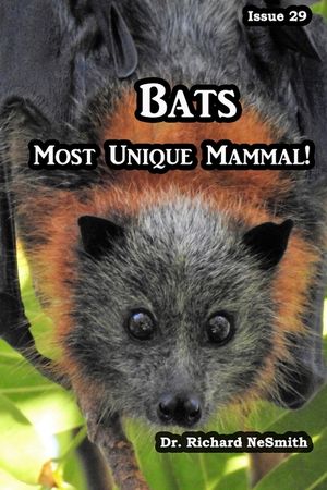 Bats: Most Unique Mammal! image number 0