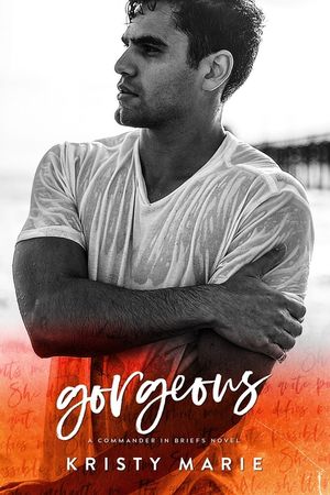 Gorgeous: An enemies to lovers stand-alone. image number 0