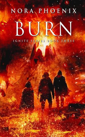Burn image number 0