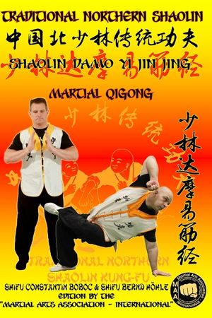 Shaolin Martial QiGong - Shaolin DaMo Yi Jin Jing image number 0