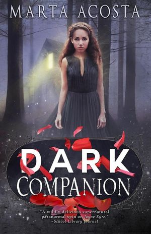 Dark Companion image number 0