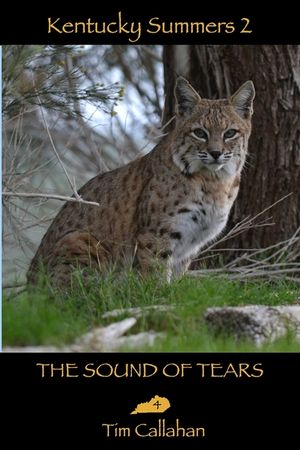 The Sound of Tears image number 0
