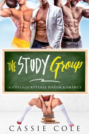 The Study Group: A College Reverse Harem Romance image number 0