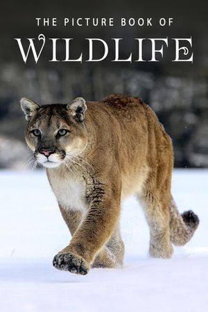The Picture Book of Wildlife: A Gift Book for Alzheimer's Patients and Seniors with Dementia image number 0