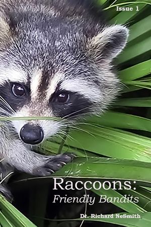 Raccoons: Friendly Bandits image number 0