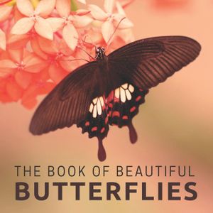 The Book Of Beautiful Butterflies: Picture Book For Seniors With Dementia (Alzheimer's) image number 0