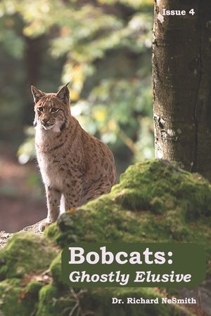 Bobcats: Ghostly Elusive image number 0