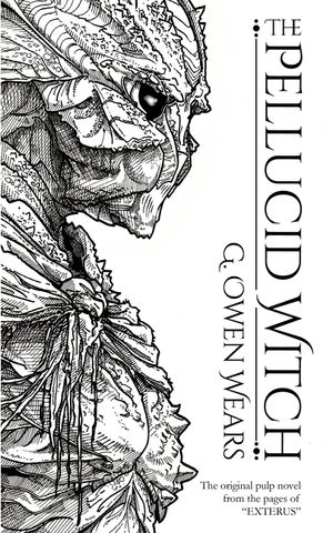 The Pellucid Witch image number 0