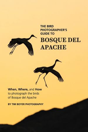 The Bird Photographer's Guide To Bosque del Apache: When, Where, and How to Photograph the Birds of Bosque del Apache image number 0