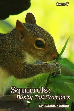 Squirrels: Bushy-Tail Scampers! image number 0