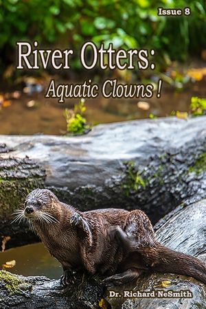 River Otters: Aquatic Clowns image number 0