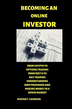 Becoming an Online Investor: understanding drips investing options mutual funds reits penny stocks an day trading image number 0