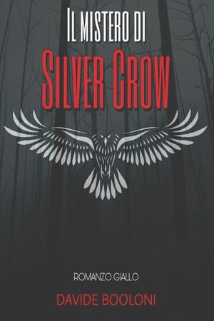 Il Mistero Di Silver Crow image number 0