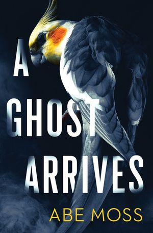 A Ghost Arrives image number 0