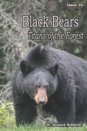 Black Bears: Titans of the Forest image number 0