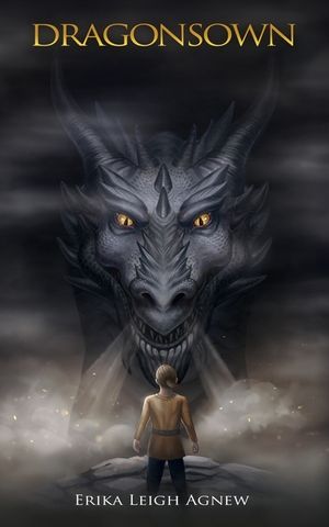 Dragonsown: Surface image number 0