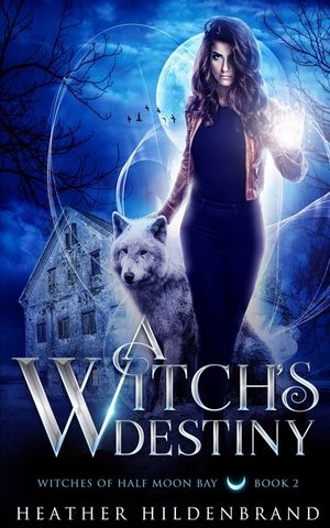 A Witch's Destiny image number 0
