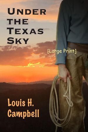 Under the Texas Sky image number 0