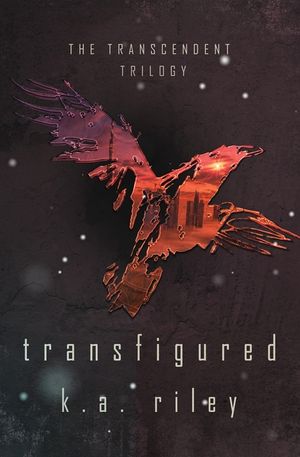 Transfigured image number 0