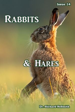 Rabbits & Hares image number 0