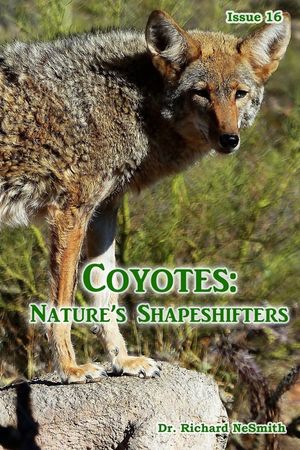 Coyotes! Nature's Shapeshifters image number 0