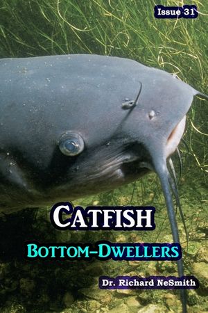 Catfish: Bottom-Dwellers image number 0