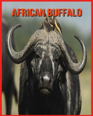 African Buffalo: Fun Facts and Amazing Photos of Animals in Nature image number 0