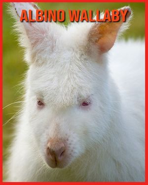 Albino Wallaby: Fun Facts and Amazing Photos of Animals in Nature image number 0