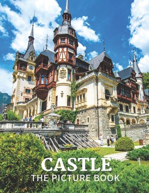 Castle: The Picture Book of Amazing Castle for Dementia, Seniors, Alzheimer's and Parkinson's. image number 0