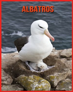 Albatros: Informations Amusantes et Photos Etonnantes d'Animaux dans la Nature image number 0