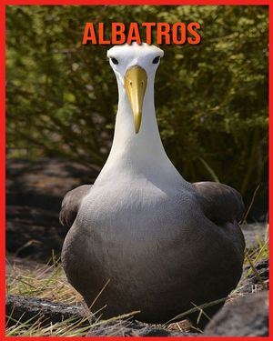 Albatros: Recueil pour Enfants de Belles Images & d'Informations Int&eacute;ressantes Concernant les Albatros image number 0