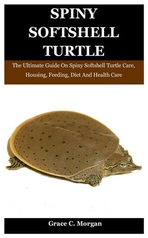 Spiny SoftShell Turtle: The Ultimate Guide On Spiny Softshell Turtle Care, Housing, Feeding, Diet And Health Care image number 0