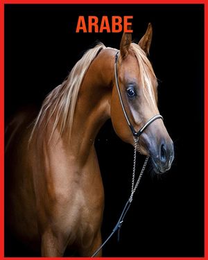 Arabe: Photos Etonnantes & Recueil d'Informations Amusantes Concernant les Arabe pour Enfants image number 0