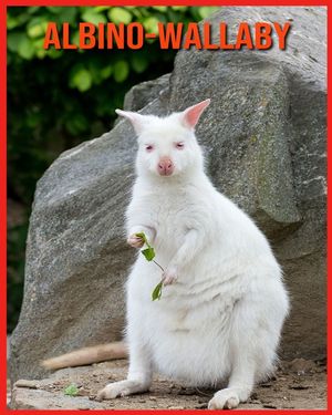 Albino-Wallaby: Sch&ouml;ne Bilder & Kinderbuch mit interessanten Fakten &uuml;ber Albino-Wallaby image number 0