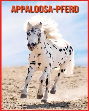 Appaloosa-Pferd: Lustige Fakten und erstaunliche Fotos von Tieren in der Natur image number 0
