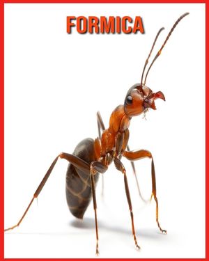 Formica: Immagini bellissime e fatti interessanti Libro per bambini sui Formica image number 0
