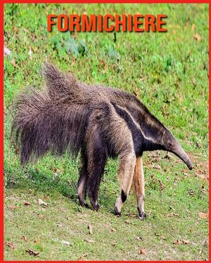 Formichiere: Fatti divertenti e foto incredibili degli animali nella natura image number 0