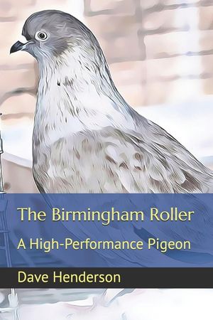 The Birmingham Roller: a High-Performance Pigeon image number 0
