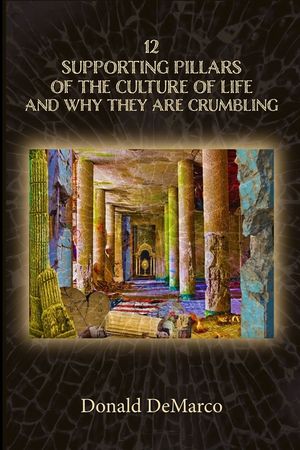 12 Supporting Pillars of the Culture of Life and Why They are Crumbling image number 0