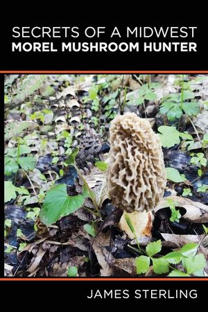 Secrets of a Midwest Morel Mushroom Hunter image number 0
