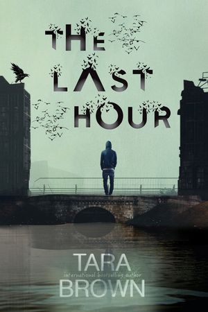 The Last Hour: A Post-Apocalyptic Survival Thriller image number 0