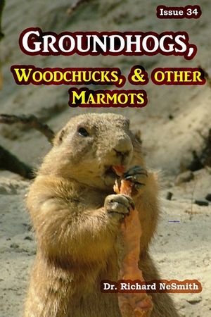 Groundhogs, Woodchucks, and other Marmots image number 0