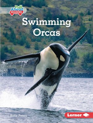 Swimming Orcas image number 0