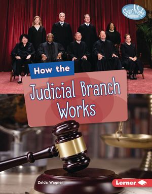 How the Judicial Branch Works image number 0