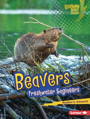 Beavers: Freshwater Engineers image number 0